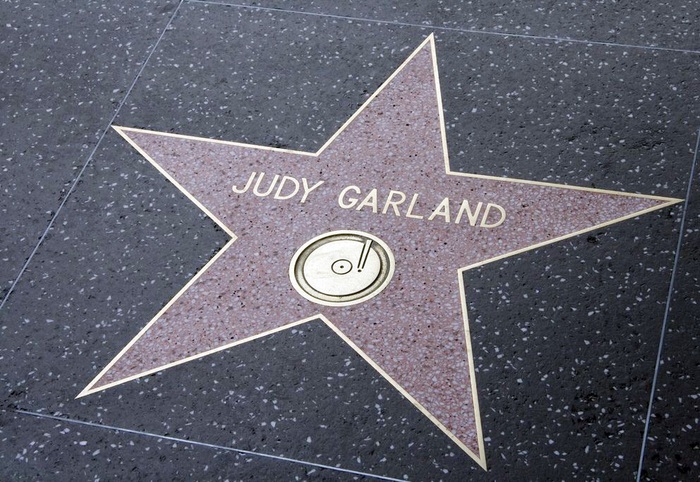 “Tắc kè hoa” Judy Garland  - Ảnh 3.
