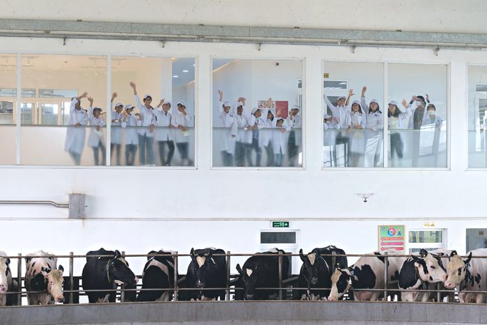 Vinamilk và Quỹ sữa Vươn cao Việt Nam tổ chức nhiều hoạt động nhân dịp 15 thành lập - Ảnh 6.