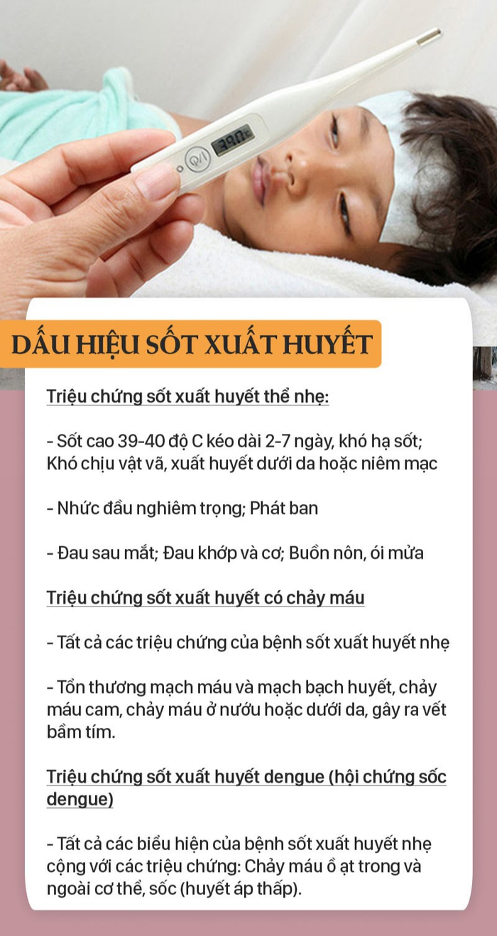 Dấu hiệu mắc sốt xuất huyết cần đến viện ngay - Ảnh 4.