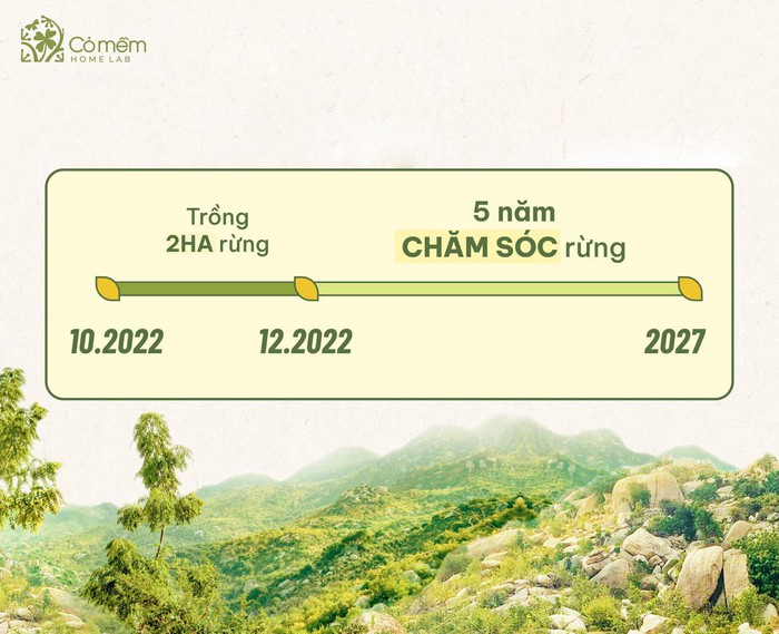 Hiện thực hóa mô hình CSV: Cỏ Mềm “bắt tay” cùng Hạnh Phúc Xanh trồng 2 hecta rừng ở Ninh Thuận - Ảnh 1.