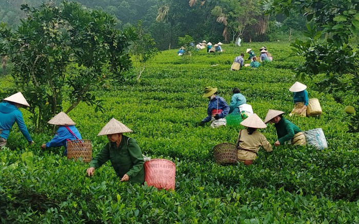 Nhiều điểm cần lưu ý trong Chương trình mục tiêu quốc gia giảm nghèo ...