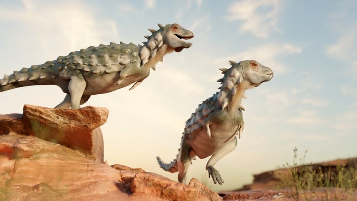 Bất ngờ phát hiện một loài khủng long hoàn toàn mới tại Argentina!  - Ảnh 1.