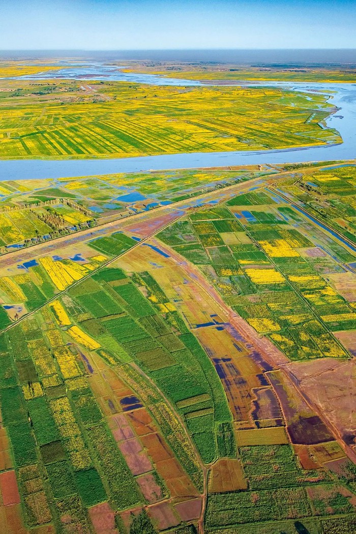 Chùm ảnh ấn tượng: Trung Quốc bước vào mùa thu hoạch thu - Ảnh 5.