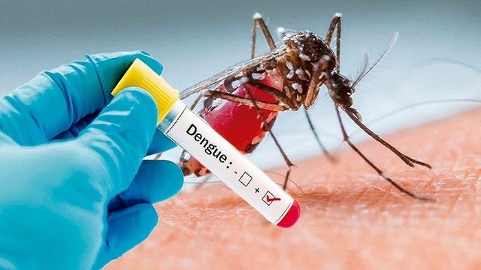 Tái nhiễm virus dengue có thể làm bệnh sốt xuất huyết nghiêm trọng hơn - Ảnh 3.