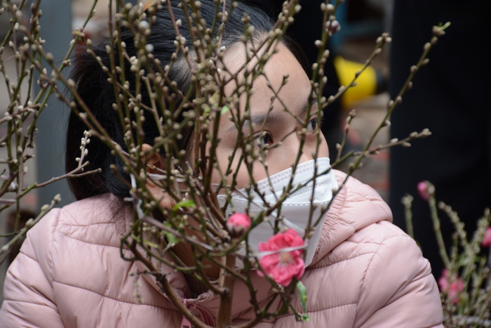 Chợ hoa Hàng Lược – một phong vị Tết Hà thành  - Ảnh 5.
