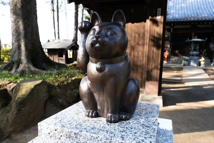 Maneki-neko: Tượng mèo may mắn nổi tiếng của Nhật Bản và câu chuyện ít người biết về nguồn gốc ra đời - Ảnh 6.
