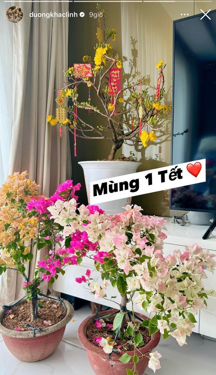 Tình hình hoa Tết nhà sao Việt: Nơi nở rộ đúng dịp, chỗ chưa kịp trổ bông - Ảnh 4.