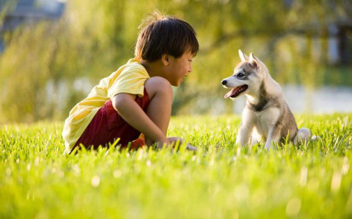 Cách đơn giản để giáo dục lòng nhân từ cho trẻ là dạy chúng biết yêu thương  động vật » Báo Phụ Nữ Việt Nam