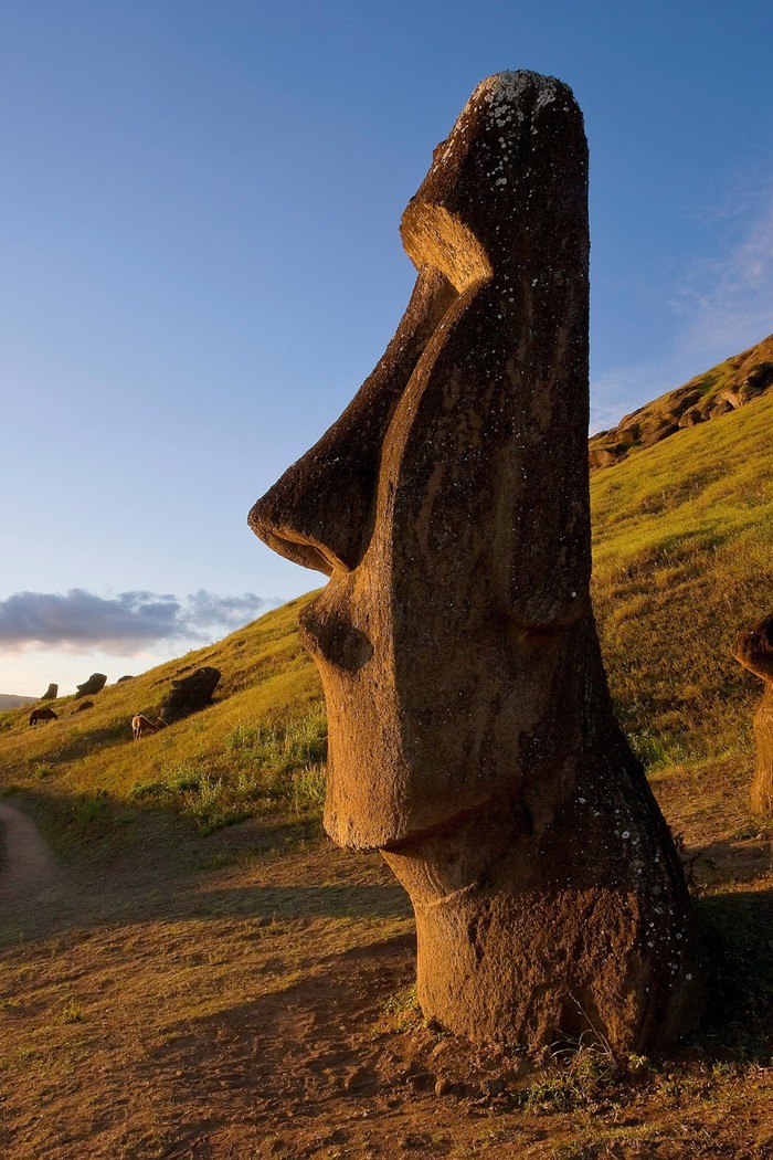 El Gigante: Bức tượng Moai bí ẩn nhất trên đảo Phục Sinh - Ảnh 2.