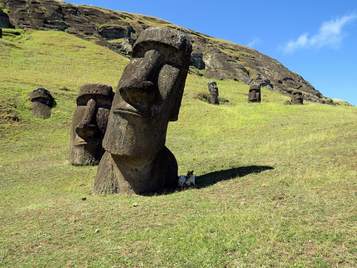 El Gigante: Bức tượng Moai bí ẩn nhất trên đảo Phục Sinh! - Ảnh 3.
