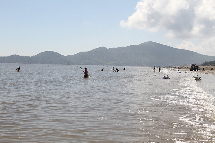 Săn “lộc biển”, ngư dân Hà Tĩnh bỏ túi tiền triệu 
mỗi ngày - Ảnh 1.