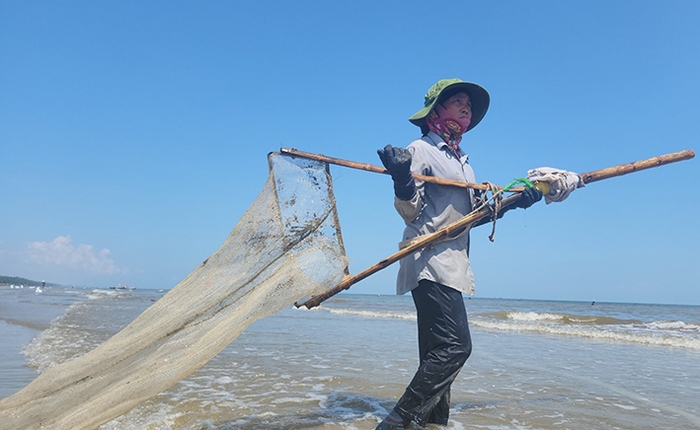 Săn “lộc biển”, ngư dân Hà Tĩnh bỏ túi tiền triệu 
mỗi ngày - Ảnh 3.