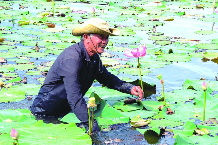 Lão nông biến đất hoang thành khu vườn 
bốn mùa hoa nở - Ảnh 1.