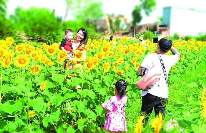 Lão nông biến đất hoang thành khu vườn 
bốn mùa hoa nở - Ảnh 2.