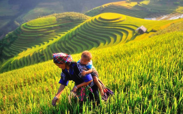 Mù Cang Chải: Phụ nữ người Mông còn nhiều vất vả với lao động sản xuất thủ công