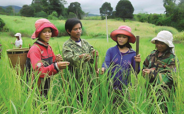 Giảm nghèo bền vững:  Không còn chính sách cho không, đã chuyển sang hỗ trợ có điều kiện - Ảnh 2.