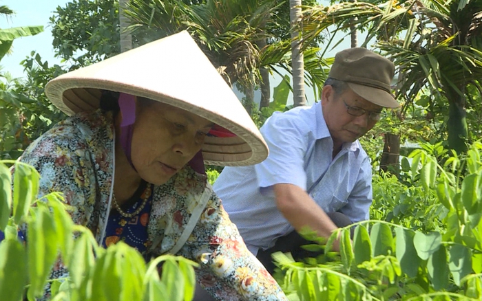 Người cao tuổi đóng góp hơn ba mươi ngàn tỷ đồng và hàng triệu ngày công xây dựng nông thôn mới - Ảnh 3.