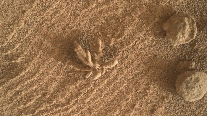 "Rắn hổ mang" kỳ lạ xuất hiện trên Sao Hỏa- Ảnh 4.