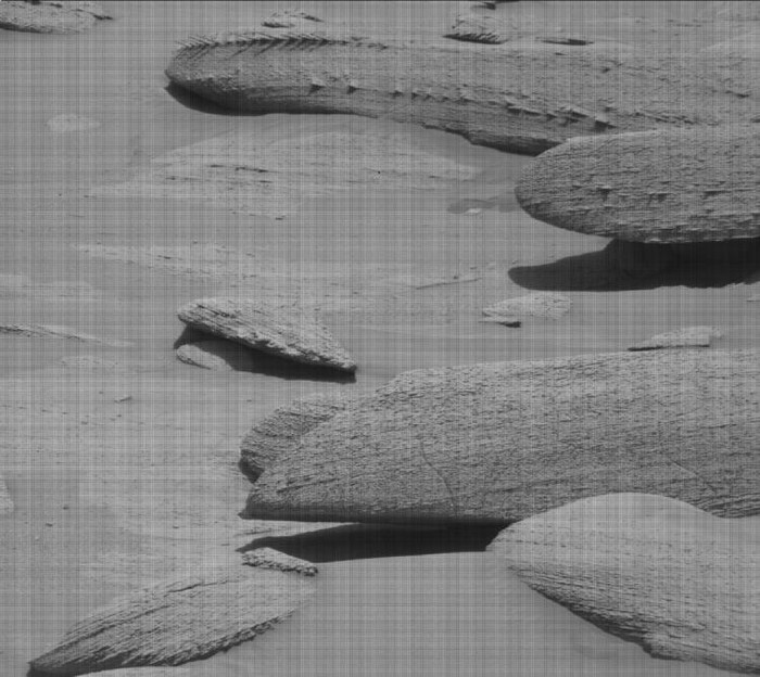 Tàu thám hiểm Curiosity của NASA phát hiện tảng đá giống hóa thạch xương trên bề mặt Sao Hỏa- Ảnh 2.