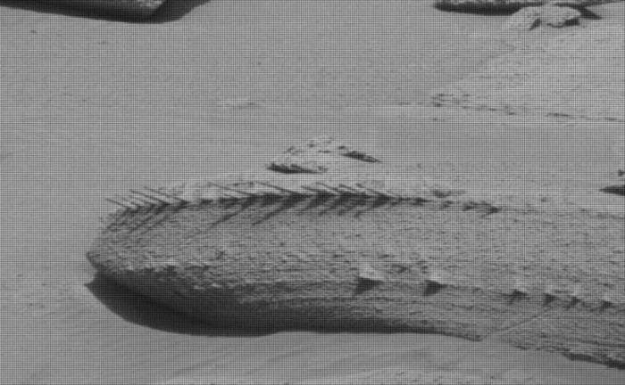 Tàu thám hiểm Curiosity của NASA phát hiện tảng đá giống hóa thạch xương trên bề mặt Sao Hỏa- Ảnh 1.
