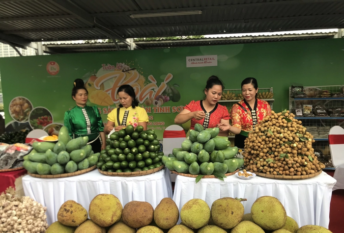 5 giải pháp thúc đẩy tiêu thụ sản phẩm miền núi, vùng sâu, vùng xa và hải đảo- Ảnh 1.