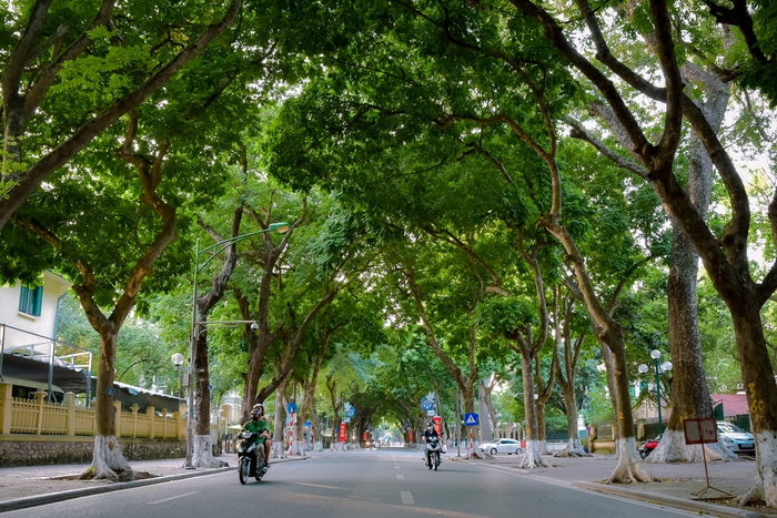 Con đường nổi tiếng bậc nhất Hà Nội vừa được hai vị thủ tướng đạp xe thưởng ngoạn
 - Ảnh 1.