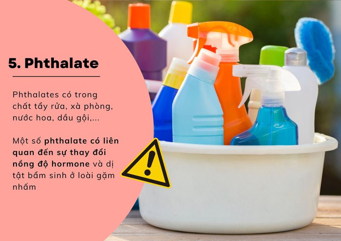 9 hóa chất độc hại &quot;ẩn nấp&quot; trong đồ dùng của gia đình bạn - Ảnh 5.