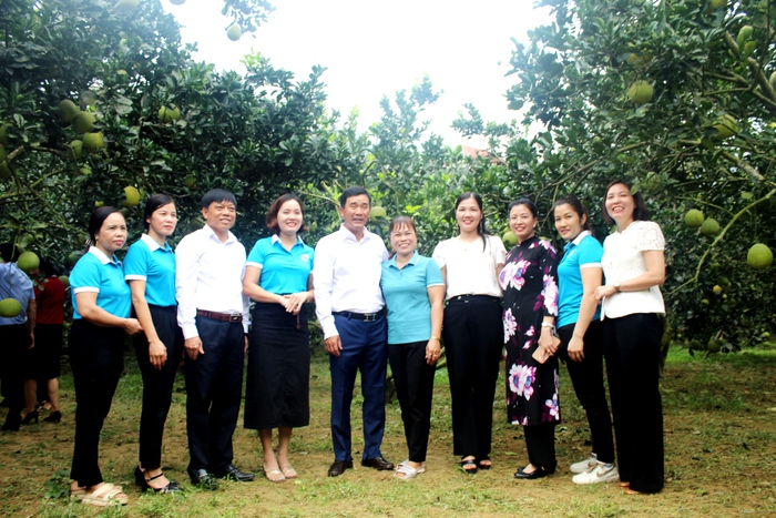 Phú Thọ: Các cấp Hội đã hỗ trợ nâng cao năng lực cho 816 phụ nữ khởi sự kinh doanh, phát triển kinh tế - Ảnh 2.