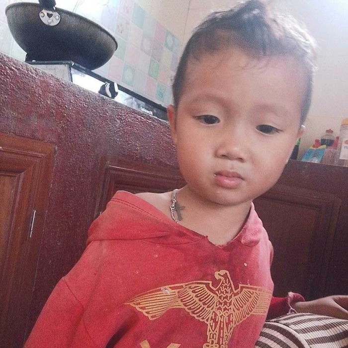 Huy động chó nghiệp vụ tìm kiếm bé trai 2 tuổi mất tích ở Nghệ An- Ảnh 1.