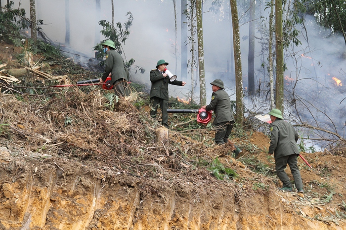 Hơn 800 người tham gia huấn luyện, luyện tập và diễn tập chữa cháy rừng- Ảnh 2.