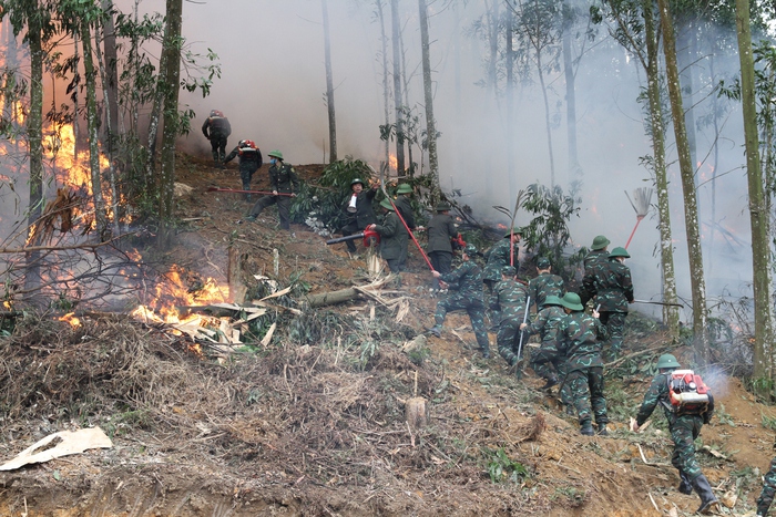 Hơn 800 người tham gia huấn luyện, luyện tập và diễn tập chữa cháy rừng- Ảnh 3.
