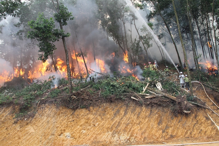 Hơn 800 người tham gia huấn luyện, luyện tập và diễn tập chữa cháy rừng- Ảnh 7.