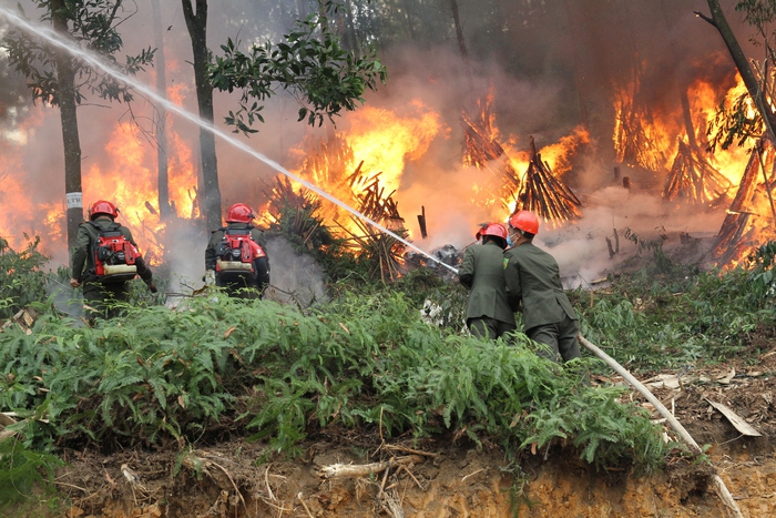 Hơn 800 người tham gia huấn luyện, luyện tập và diễn tập chữa cháy rừng- Ảnh 9.