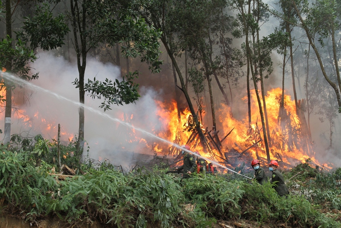 Hơn 800 người tham gia huấn luyện, luyện tập và diễn tập chữa cháy rừng- Ảnh 11.