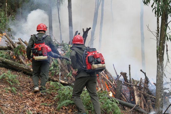 Hơn 800 người tham gia huấn luyện, luyện tập và diễn tập chữa cháy rừng- Ảnh 8.