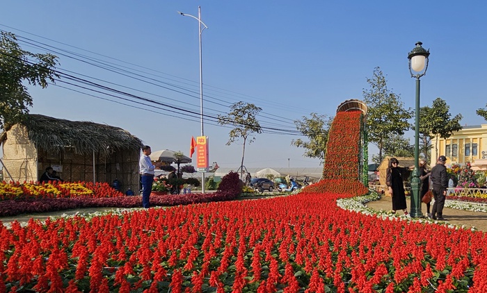 Điểm check-in hút khách dịp Tết Dương lịch tại làng hoa Xuân Quan- Ảnh 6.