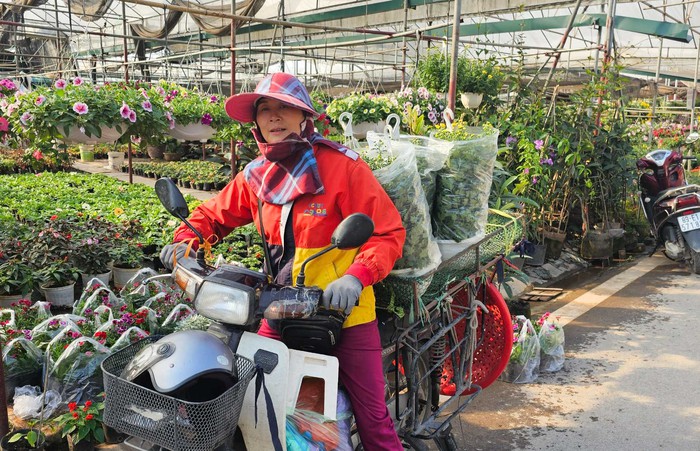 Đến "thủ phủ" hoa Xuân Quan, chi 3.000 đồng đã có chậu hoa chơi Tết- Ảnh 5.