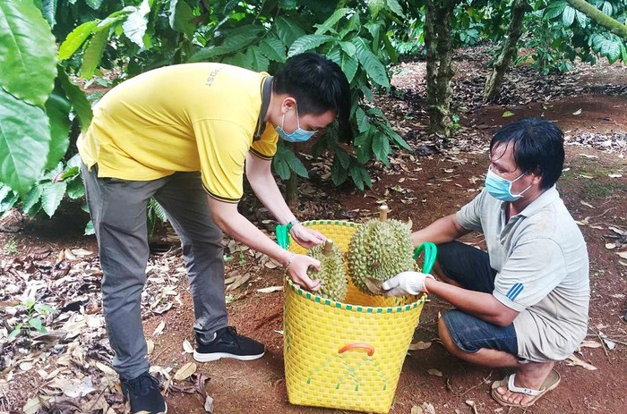 Tận dụng lợi thế của thương mại điện tử trong tiêu thụ hàng hóa miền núi, vùng sâu, vùng xa và hải đảo- Ảnh 2.