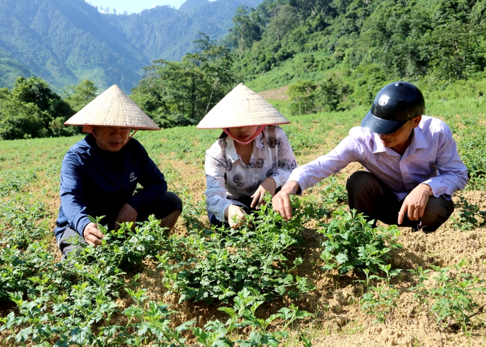 Lợi ích kép sản xuất hàng hóa, nông sản Việt Nam theo chuỗi giá trị- Ảnh 1.