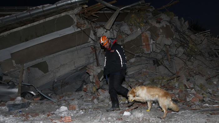Chú chó cứu hộ khiến thế giới rơi nước mắt: Bị thương ở chân vẫn miệt mài tìm kiếm nạn nhân động đất Thổ Nhĩ Kỳ - Ảnh 1.