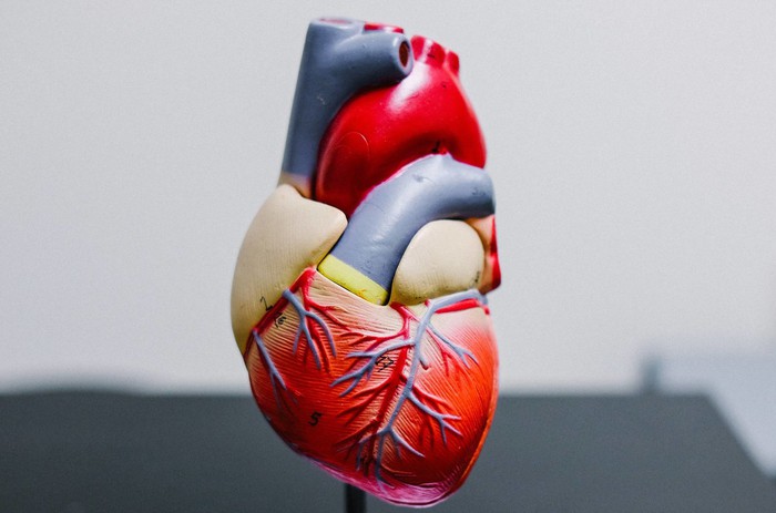Viêm cơ tim ở trẻ nguy hiểm thế nào? - Ảnh 2.