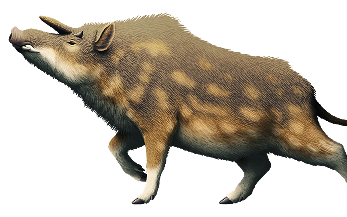 kubanochoerus-16755834096091209681076-0-