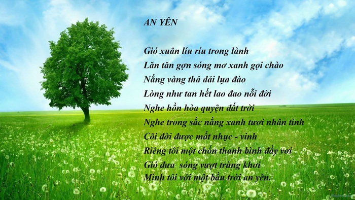 Những con chữ mộc mạc, đầy nghĩa tình trong thơ Nguyễn Đăng Độ - Ảnh 2.