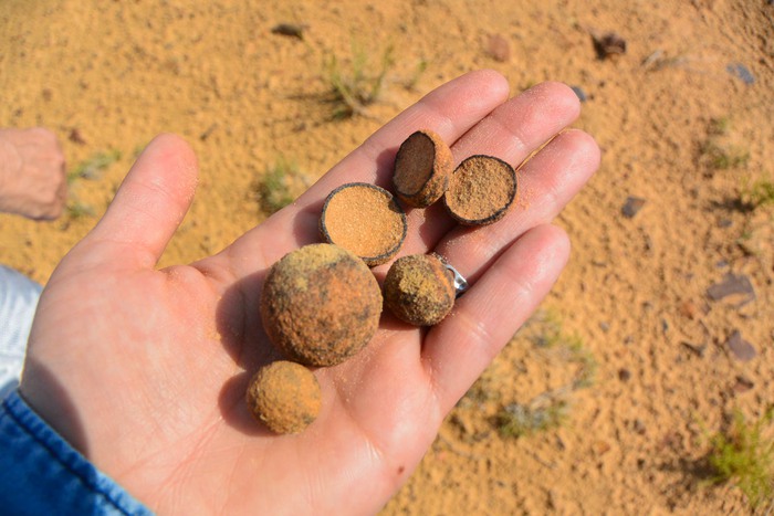 Những quả cầu lên đến 2,8 tỷ năm tuổi tại Nam Phi khiến các nhà khoa học đau đầu tìm cách lý giải - Ảnh 4.