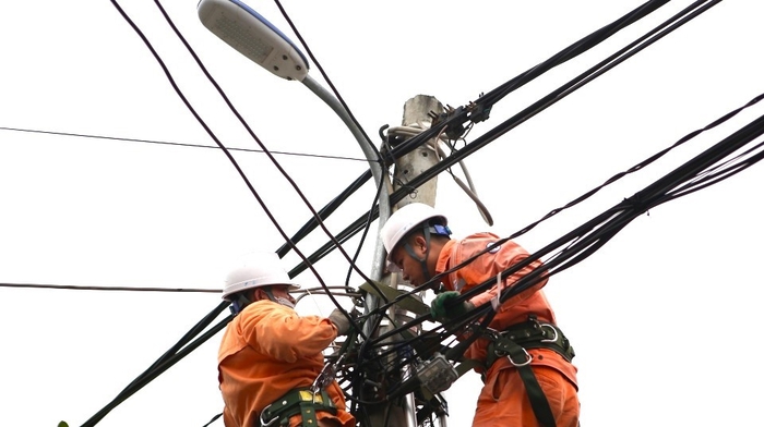 Điện lực miền Bắc tăng cường kiểm tra, xử lý khiếm khuyết đường dây để giảm thiểu sự cố điện - Ảnh 3.