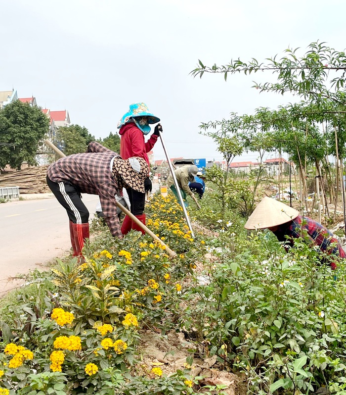 Bắc Giang thực hiện đồng bộ các giải pháp bảo vệ môi trường - Ảnh 3.