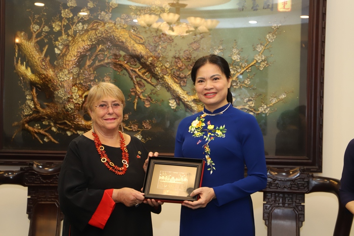 Cựu Tổng thống Chile Michelle Bachelet Jeria quan tâm đặc biệt tới việc giải quyết bạo lực gia đình tại Việt Nam - Ảnh 4.
