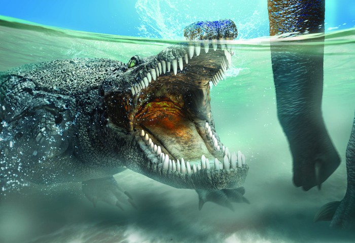 Sinh sống cùng thời với khủng long, tại sao cá sấu không tuyệt chủng? - Ảnh 3.