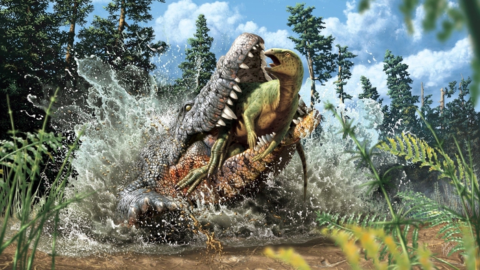 Sinh sống cùng thời với khủng long, tại sao cá sấu không tuyệt chủng? - Ảnh 6.