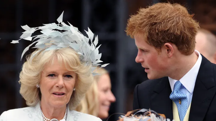 Công kích mẹ kế Camilla, Harry bị Vua Charles trục xuất khỏi căn dinh thự ở Anh - Ảnh 1.